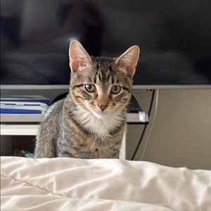 Meet your Posher, Jah